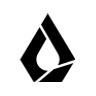 LiquidAI logo